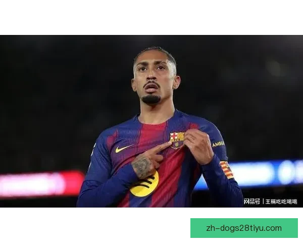 拉菲尼亚吐槽规则复杂多变之道